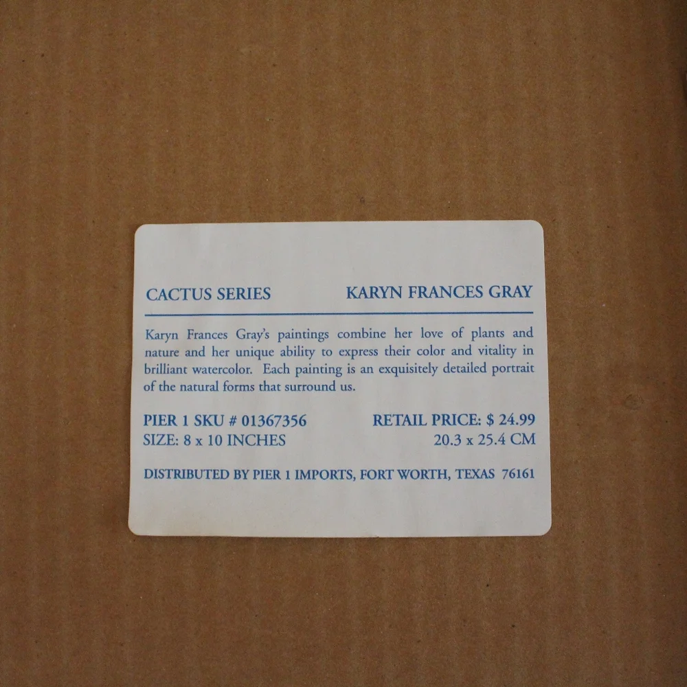 Vintage Flowering Cactus Framed Print by Karyn Frances Gray / Southwestern - Picture 7 of 8